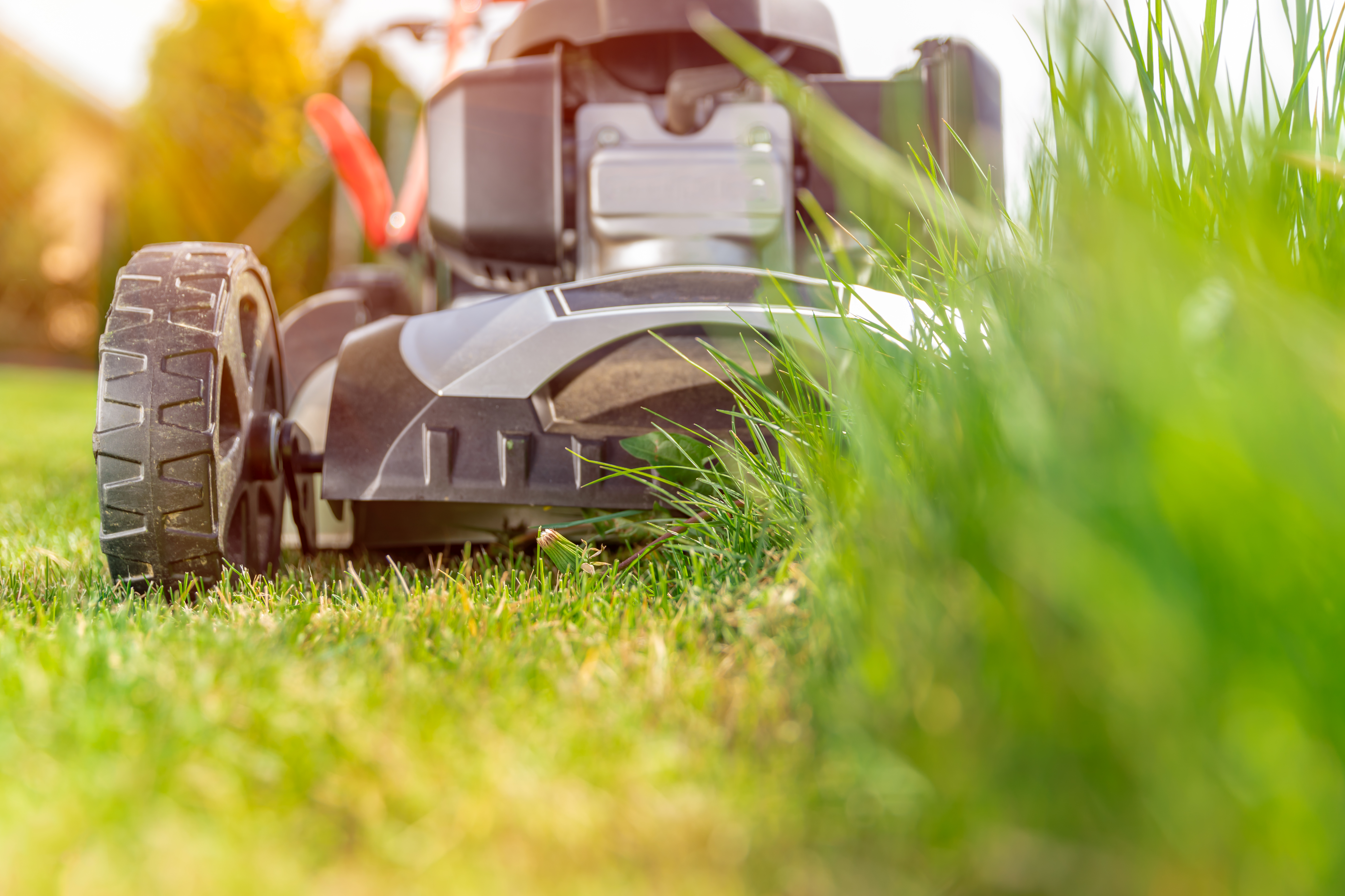 Lawn mower in action cutting grass in Denton, TX